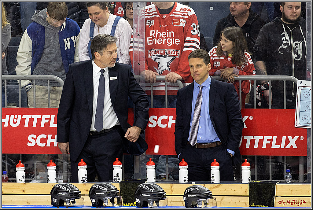 PENNY DEL - Viertelfinale;  Koelner Haie - Adler Mannheim; Koeln, 17.03.2023
